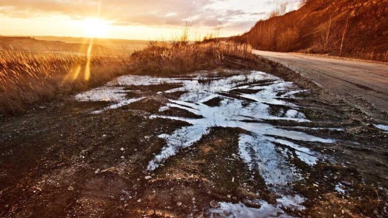 How To Get Today?S Cricbet99 Vip Live Score?